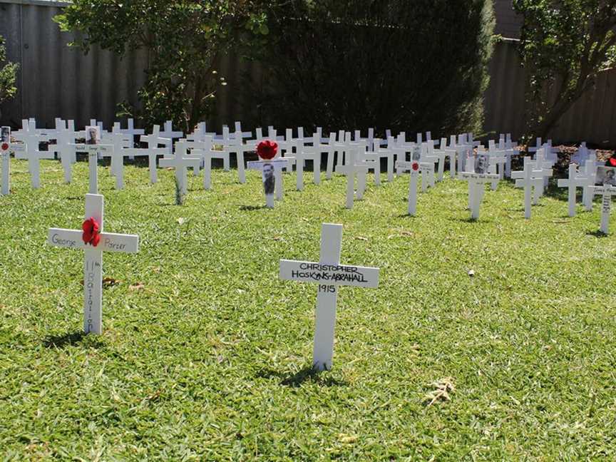 This shows a section of the "Field of Remembrance" which will be on display on November 10 Visitors are welcome to add a cross (available at the Cottage) for their veteran.  (Photo from Friends of ANZAC Cottage Collection.  Photographer Renee Chapple