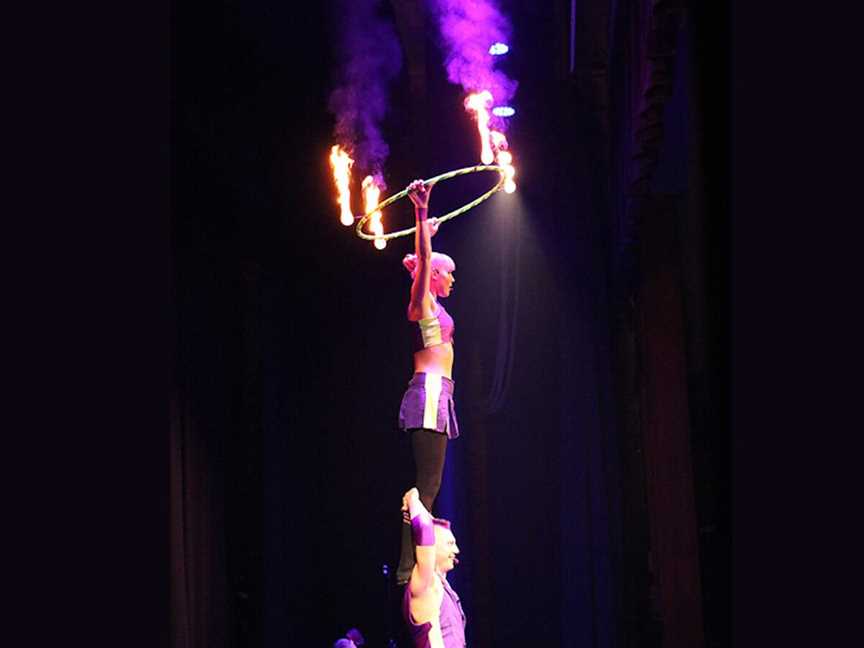 Purple People Comedy & Circus, Events in Northbridge