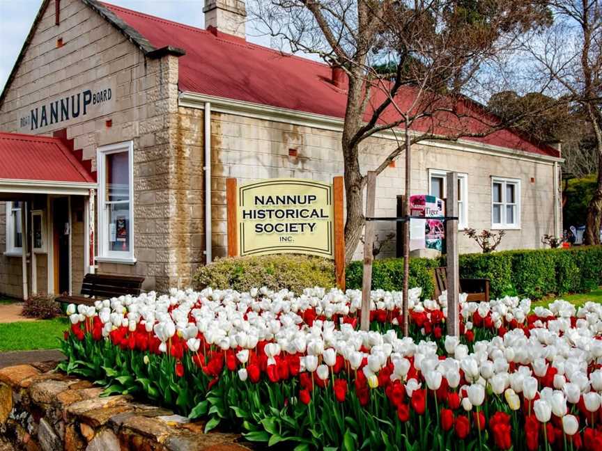 Tulips at Nannup Flower and Garden Festival