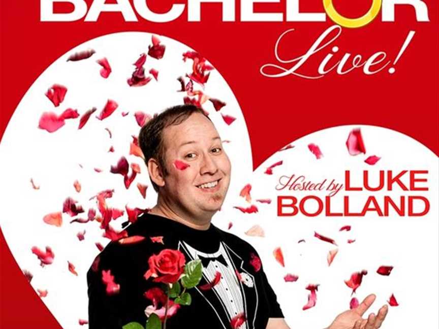 Not The Bachelor Live