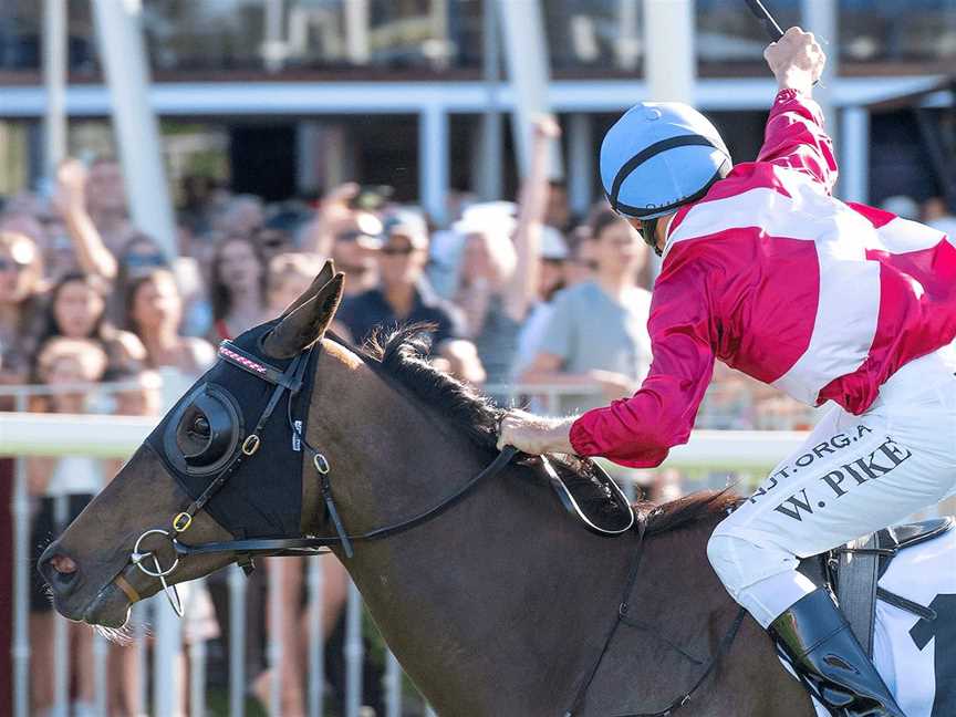 Railway Stakes Day, Events in Ascot