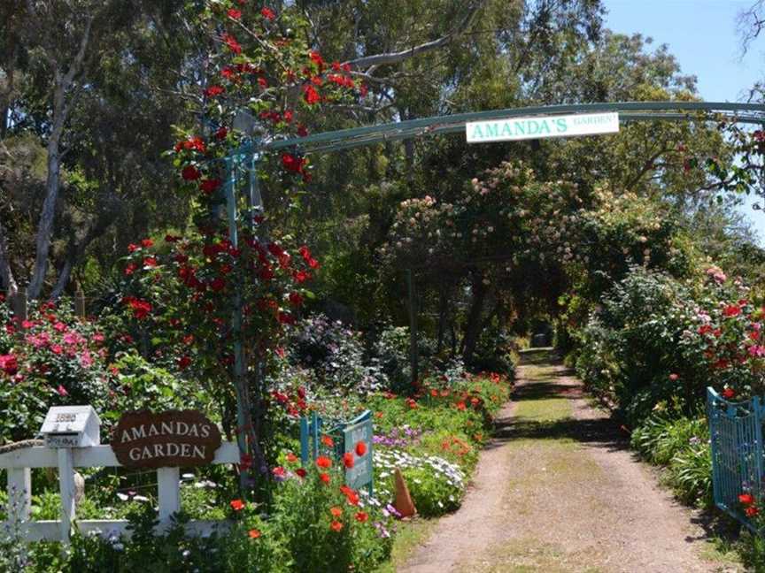 Amanda's garden Entrance