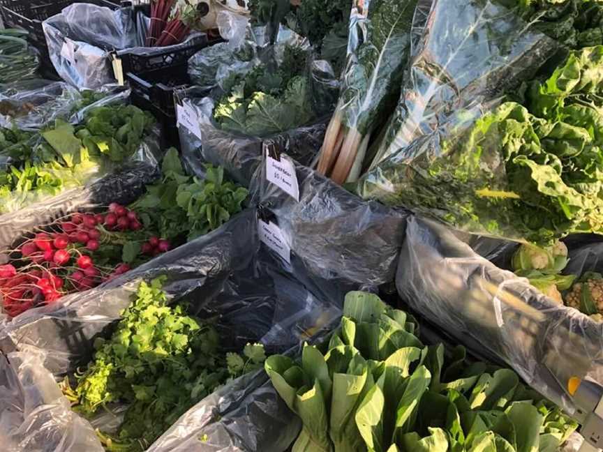 Albany Farmers Market, Events in Albany