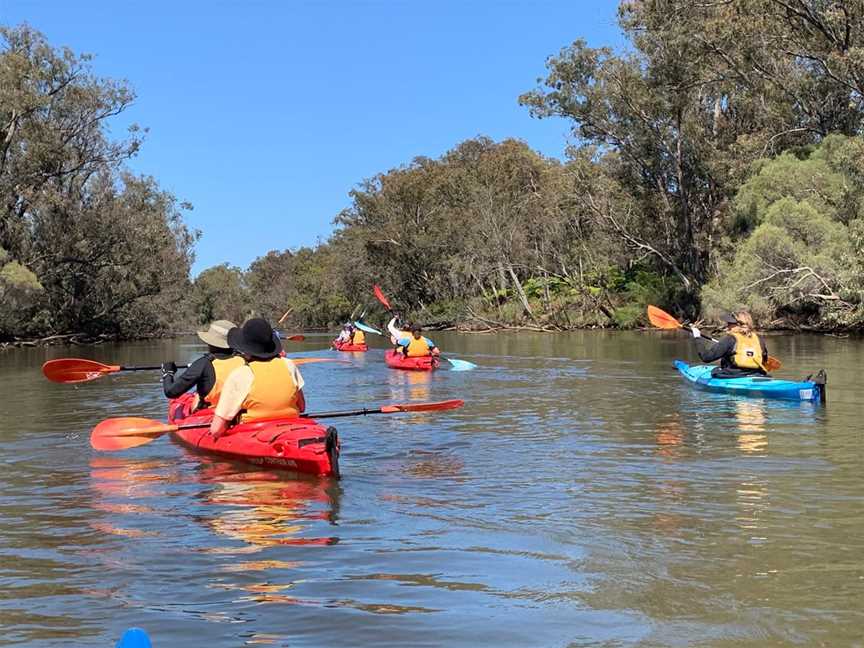 Sanctuary & Settlement - Swan River Paddle, Events in Rivervale