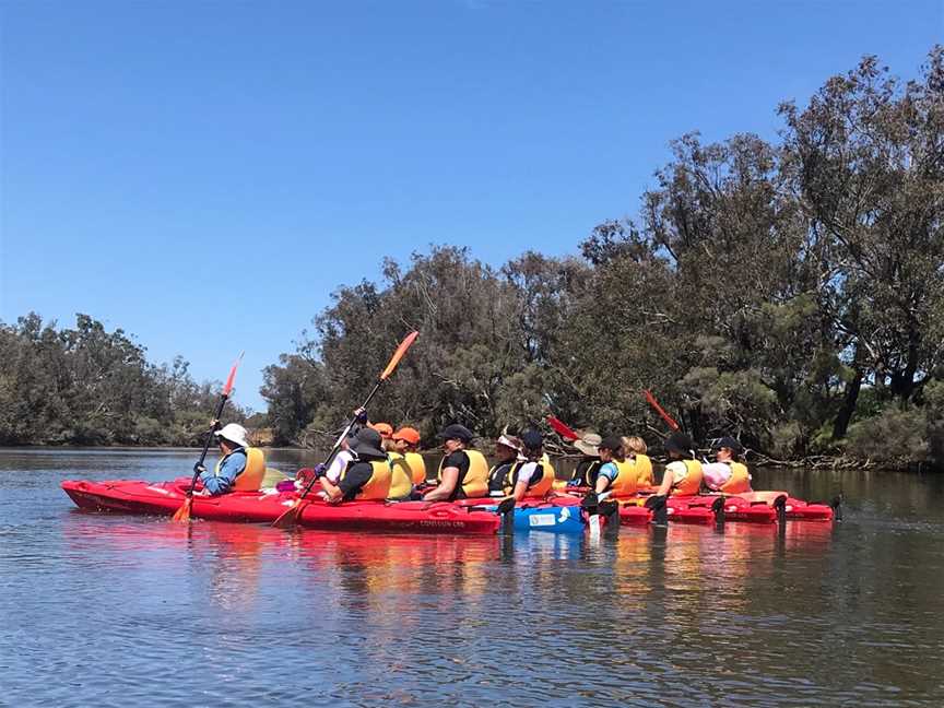 Sanctuary & Settlement - Swan River Paddle, Events in Rivervale