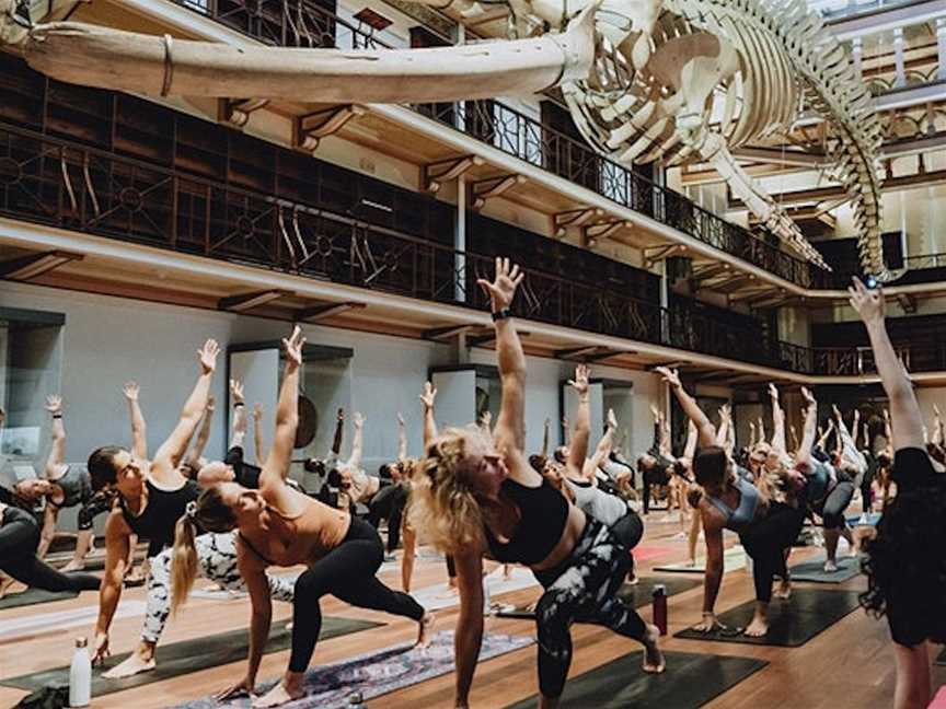 Yoga at the Museum, Events in Perth