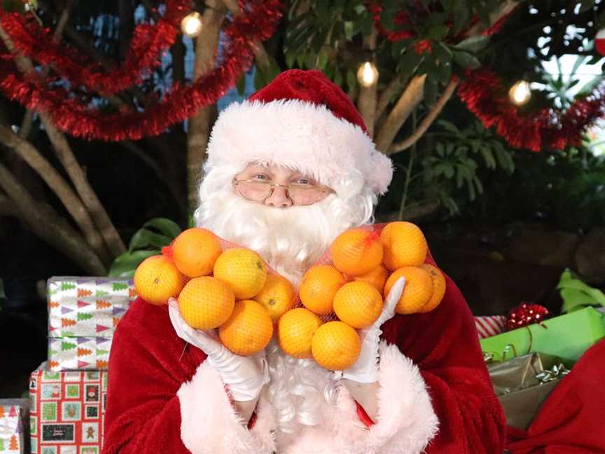 Christmas Lights & Santa at The Orchard, Events in Lower Chittering