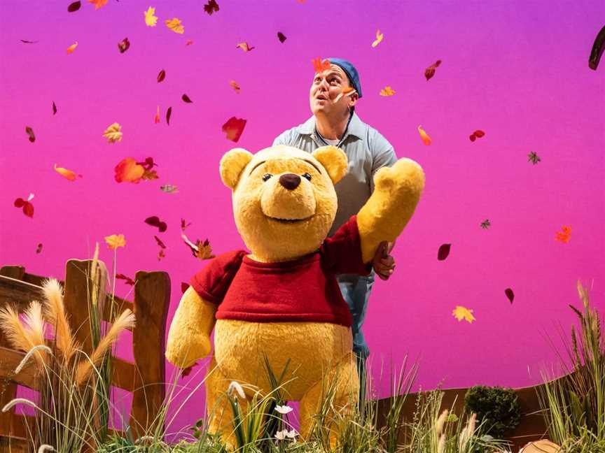 Winnie the Pooh stage show