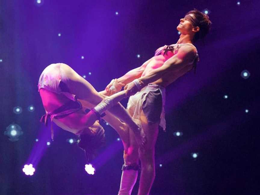Cirque Nouvelle, Events in Albany
