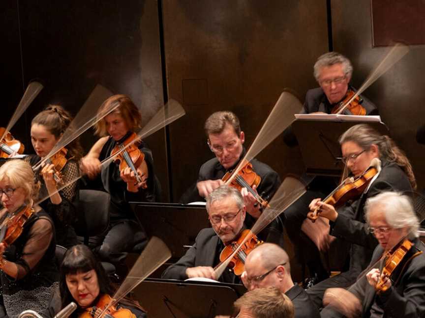 Beethoven Festival: Symphonies 2 & 5, Events in Southbank
