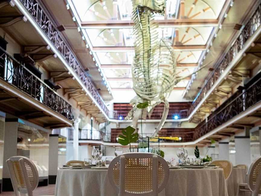 Long Table Dinner Under Blue Whale, Events in Perth