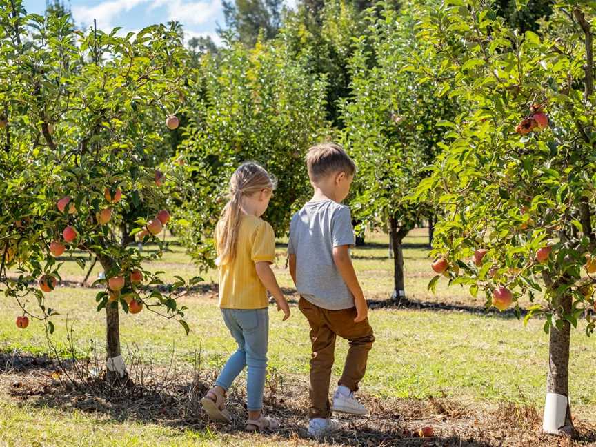 April School Holidays at Core Cider, Events in Pickering Brook