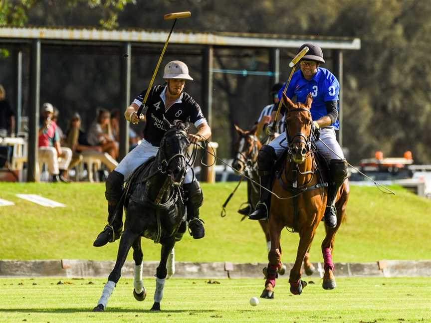 Polo On The Meadow - Asian International, Events in Guildford