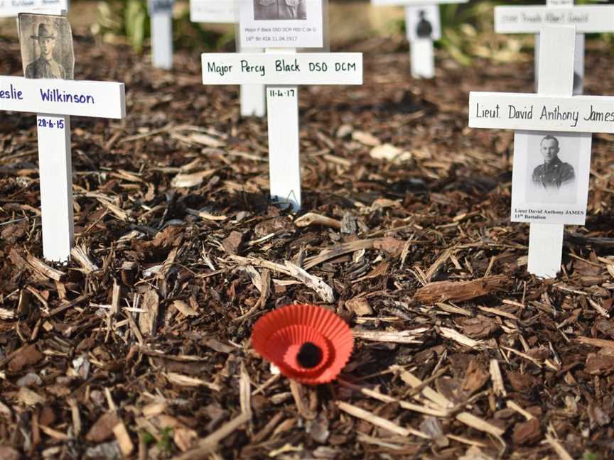 A portion of the "Field of Remembrance" as displayed on ANZAC Day at ANZAC Cottage