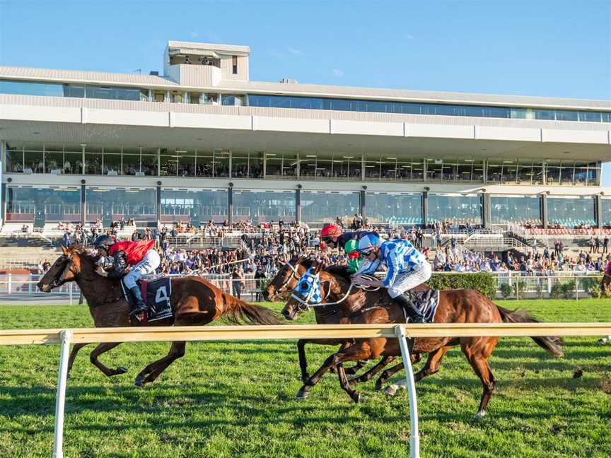 Horses fly down the finishing straight at Belmont Park Racecourse