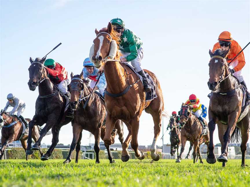 Racehorses at Belmont Park Racecourse