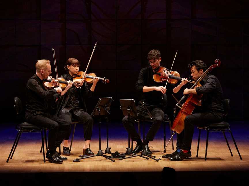 The Australian String Quartet in performance.