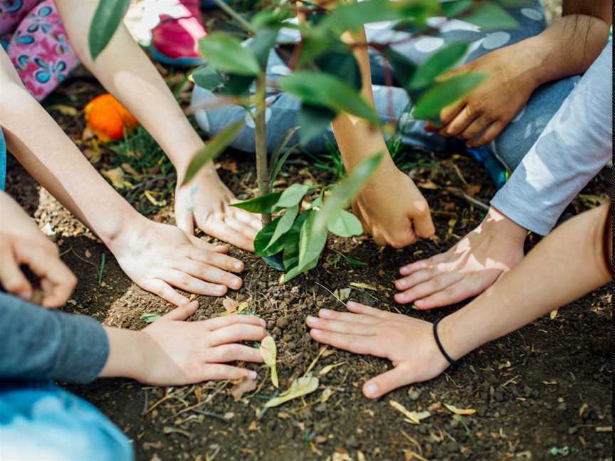 Community Tree-Planting Day , Events in Kingsley