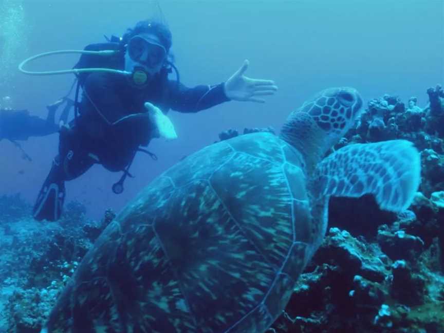 Rottnest Island Scuba Diving, Events in Fremantle