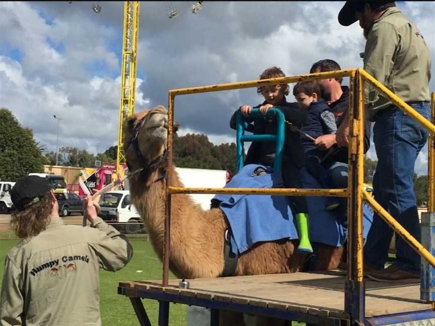 Beverley Agricultural Show, Events in Beverley