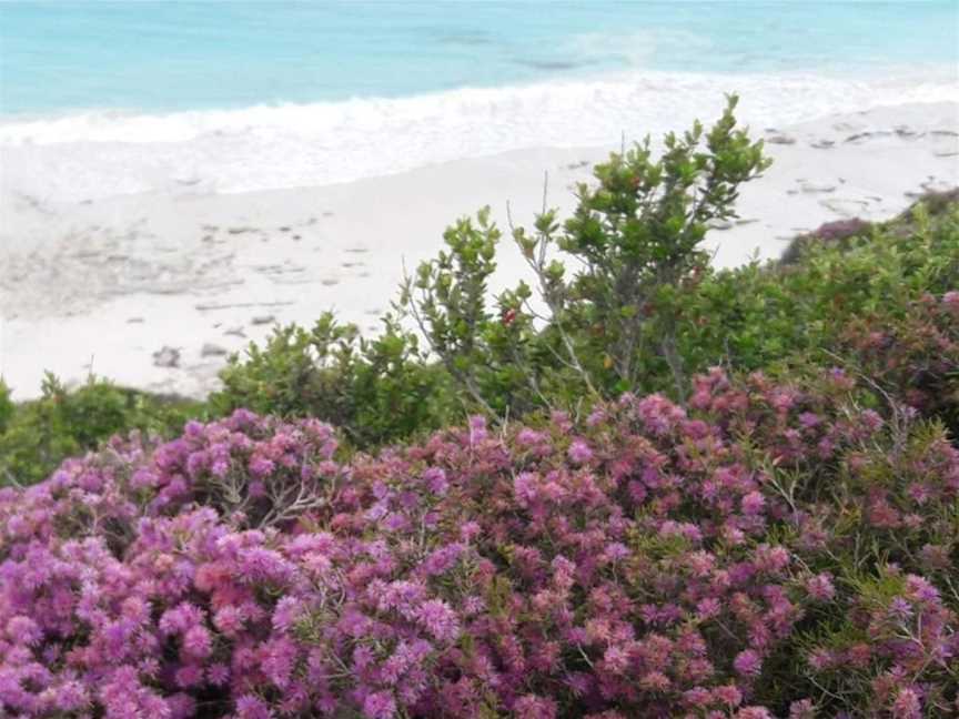 Esperance Wildflower Festival, Events in Esperance