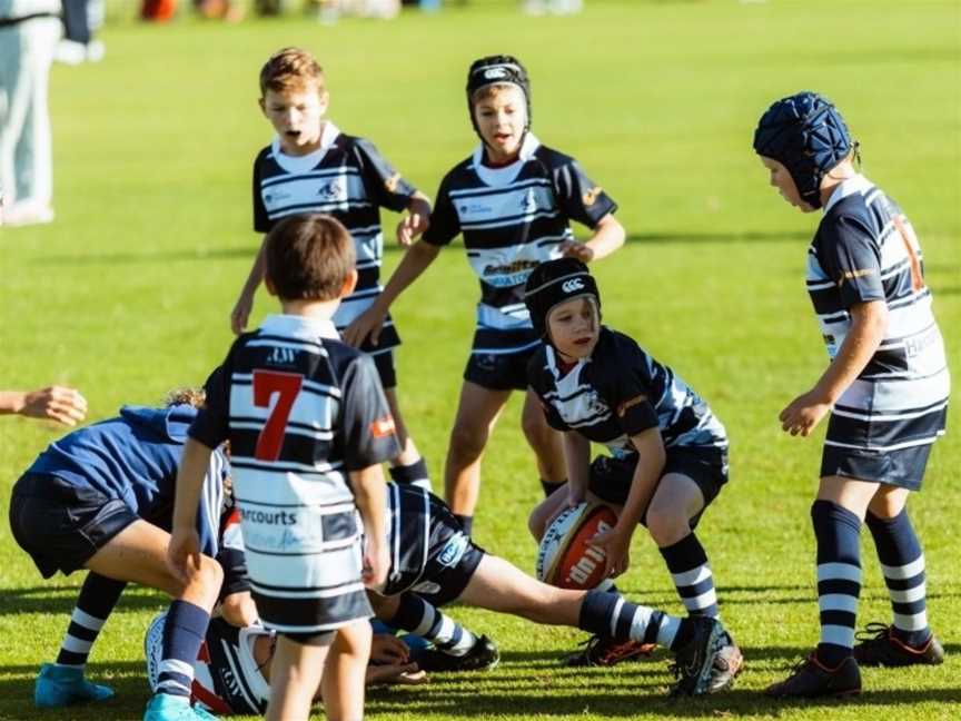 Karrinyup Sports Academy, Events in Karrinyup