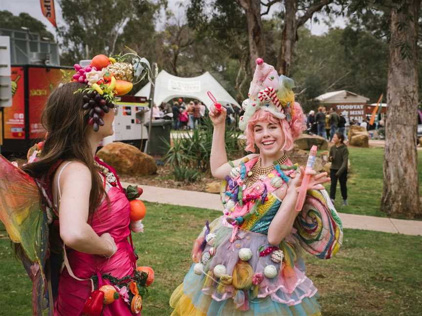 Toodyay International Food Fest, Events in Toodyay