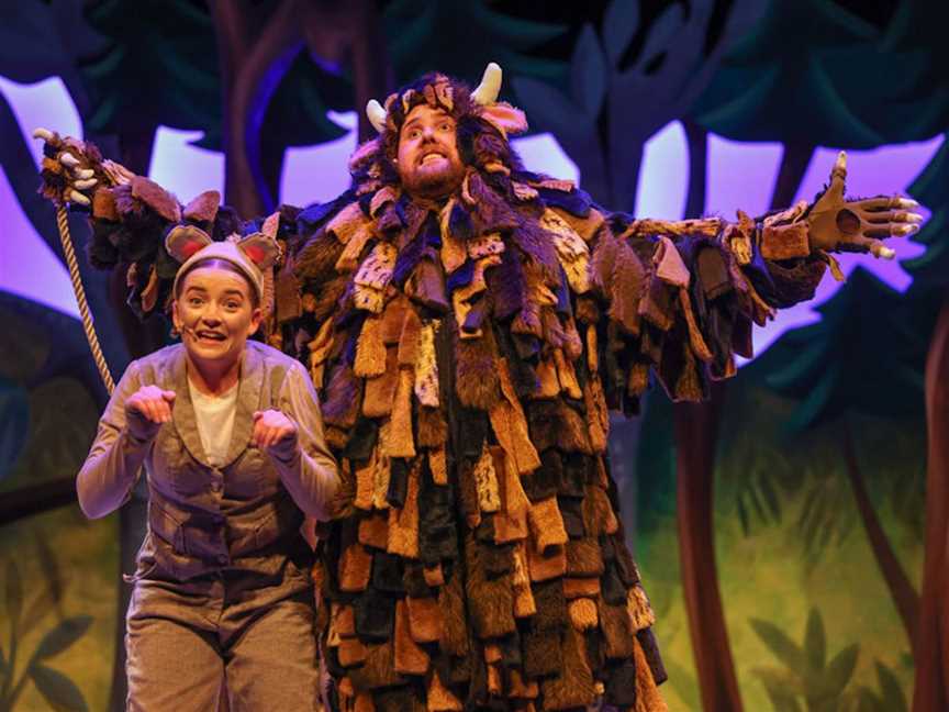 The Gruffalo Live, Events in Darwin City