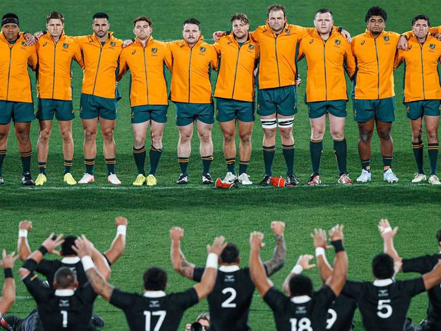 Wallabies vs All Blacks