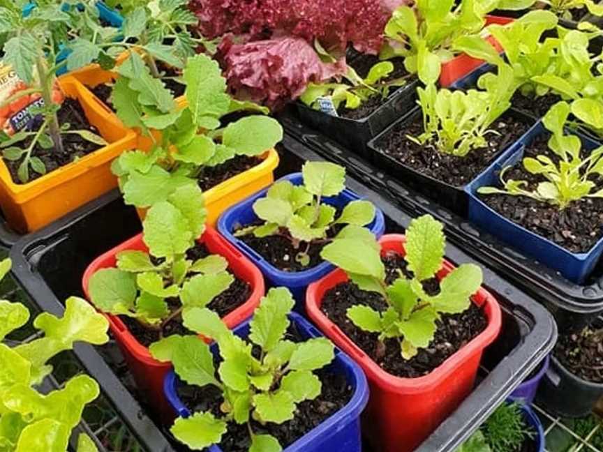 Busselton Community Garden Markets, Events in Busselton