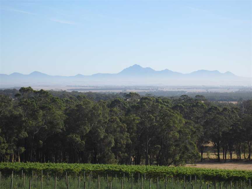 Mount Trio Vineyard, Wineries in Mount Barker
