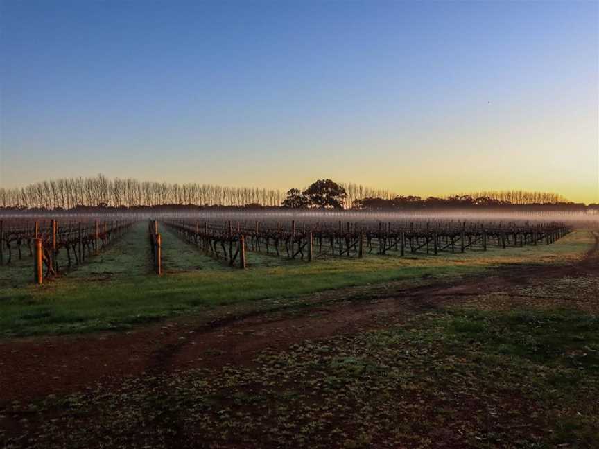 Oates Ends, Wineries in Wilyabrup