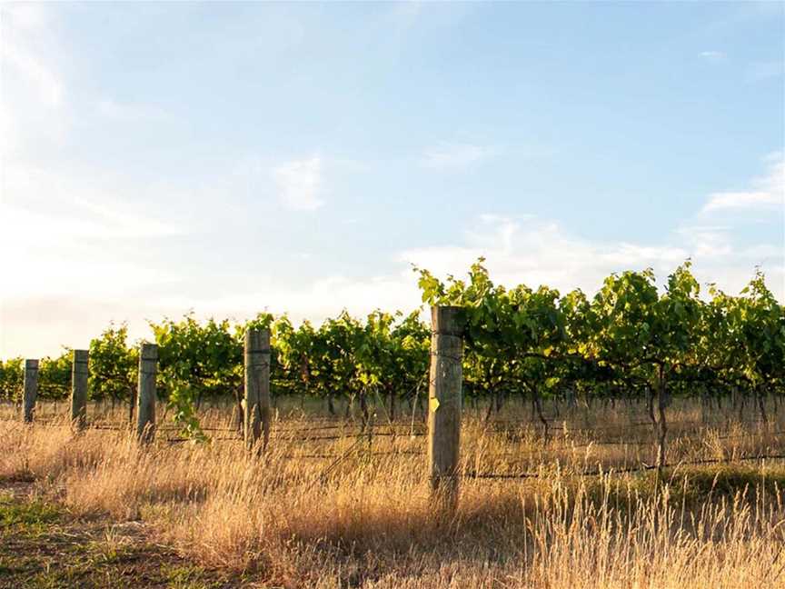 Lange Estate, Wineries in Frankland