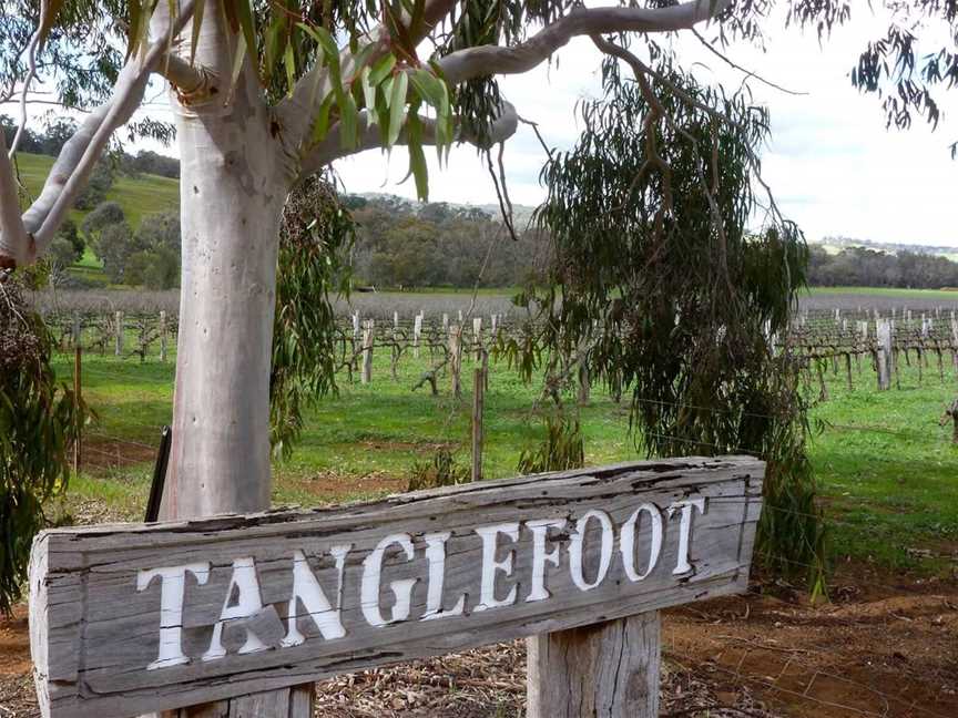 Tanglefoot, Wineries in Wandering