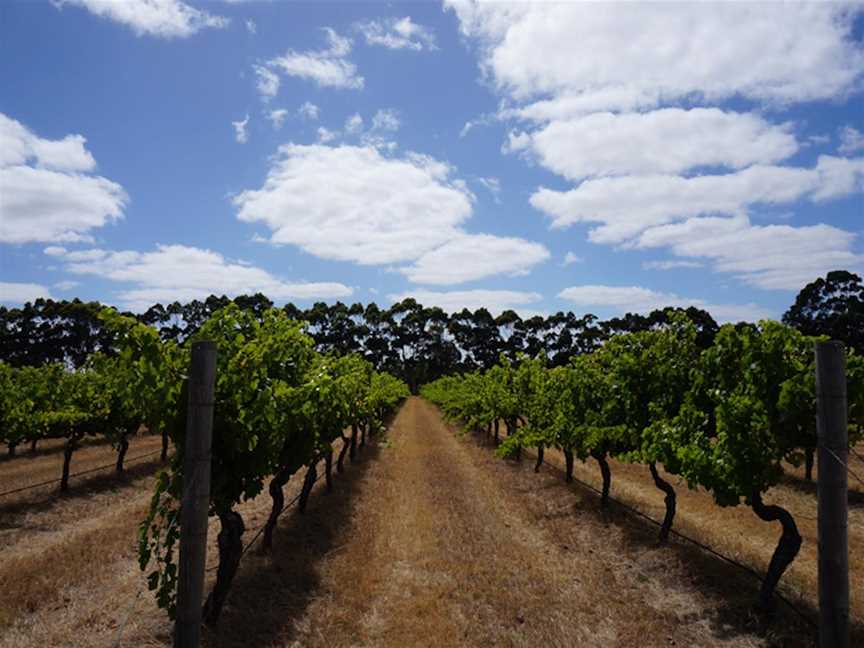 Evans and Tate, Wineries in Wilyabrup