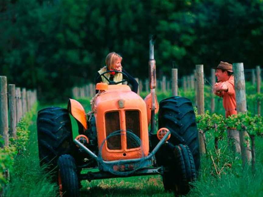 Oranje Tractor Wine, Wineries in Albany