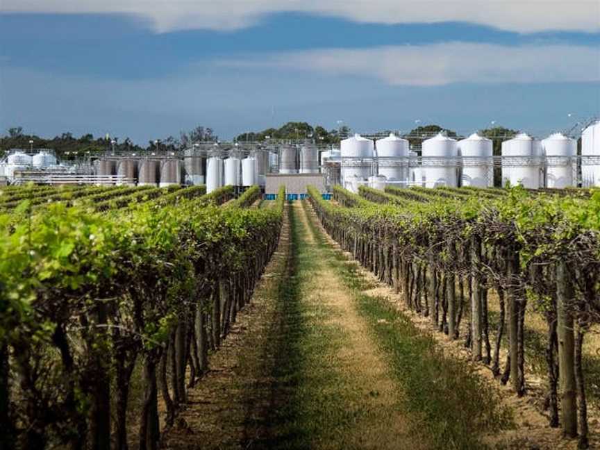 Andrew Peace Wines, Piangil, Victoria