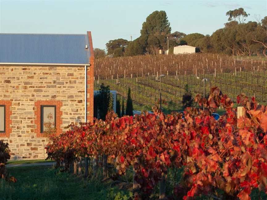 Angove Family Winemakers, Renmark, South Australia
