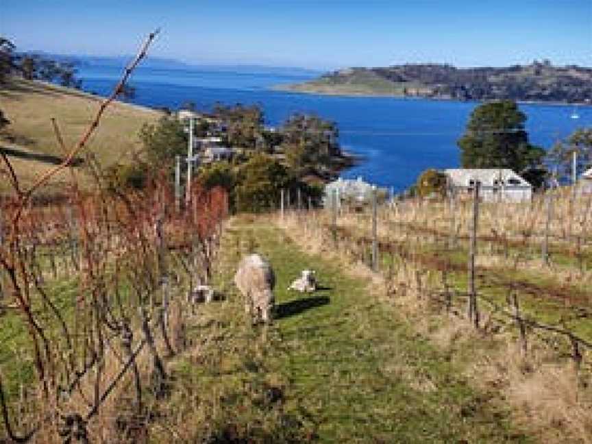Anim Wine, Blackmans Bay, Tasmania