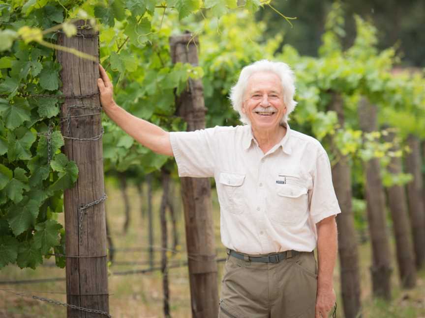 Ashton Hills Vineyard, Ashton, South Australia