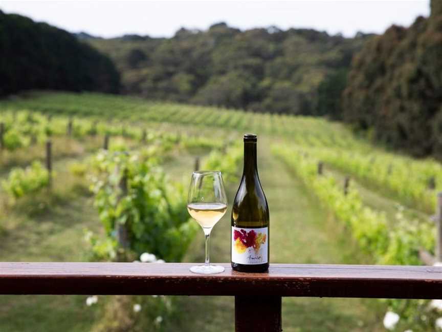 Avani Wines, Red Hill South, Victoria