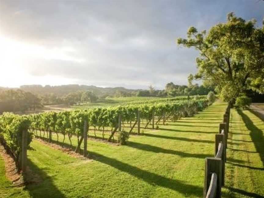 Baillieu, Wineries in Merricks