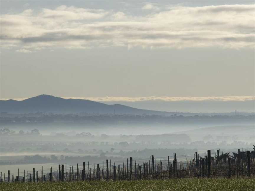 Barwon Ridge Wines, Barrabool, Victoria