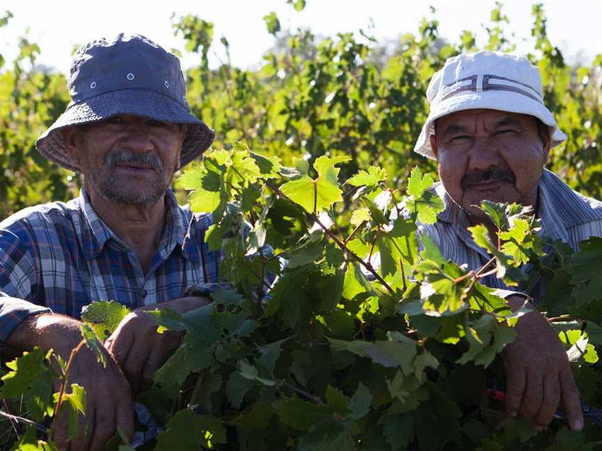 Box Grove Vineyard, Tabilk, Victoria