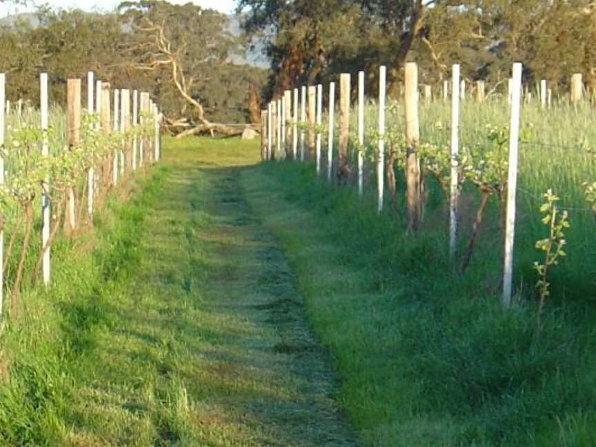 Clayfield Wines, Pokolbin, Victoria