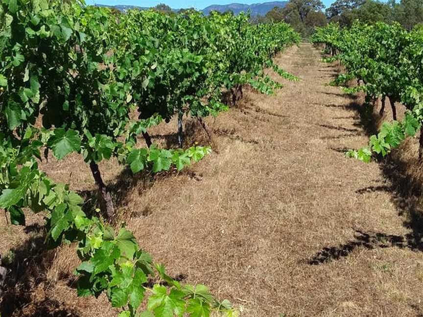 Clayfield Wines, Wineries in Moyston