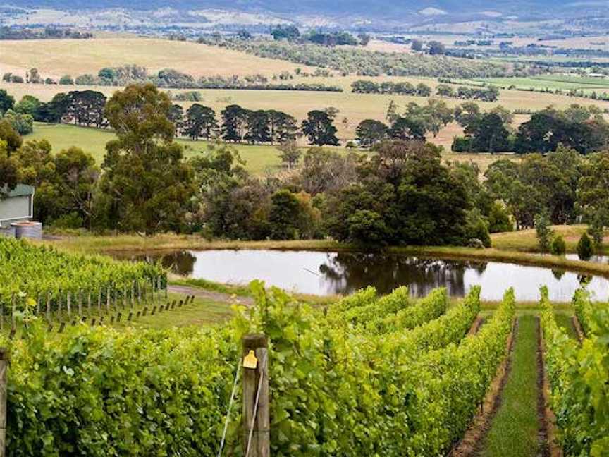 Coldstream Hills, Wineries in Coldstream