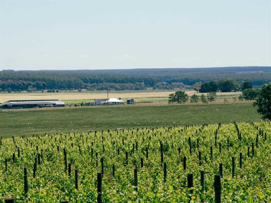 Crawford River Wines, Condah, Victoria