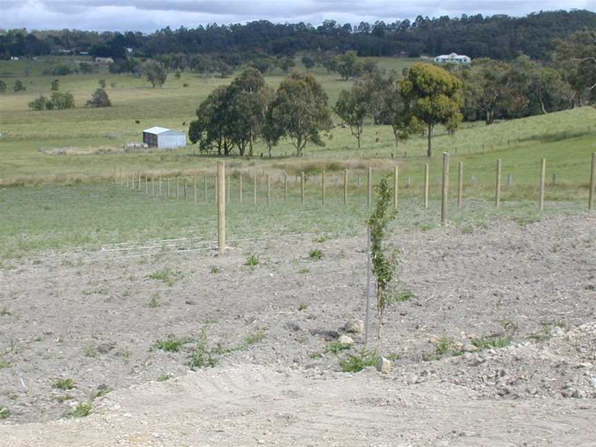 D'Angelo Estate, Officer, Victoria