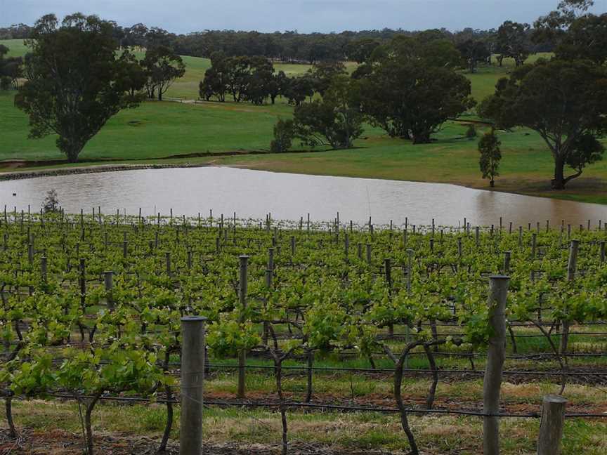 Glenwillow Wines, Wineries in Epsom